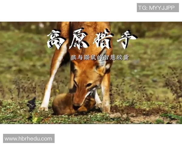 图兵工厂与狼的较量探秘：科技与野性的对决之路