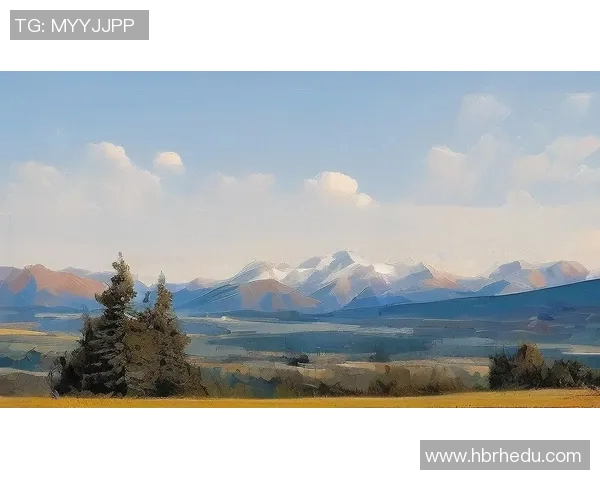 探索布莱克尼的魅力与历史之旅，感受这座城市独特的文化与风情